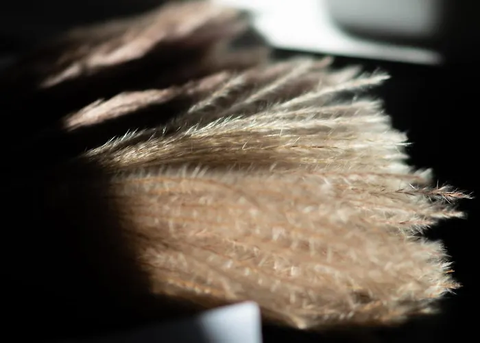 Arbeitsplatz, Balkon, Tiefgarage Naehe Neue Messe Appartement *